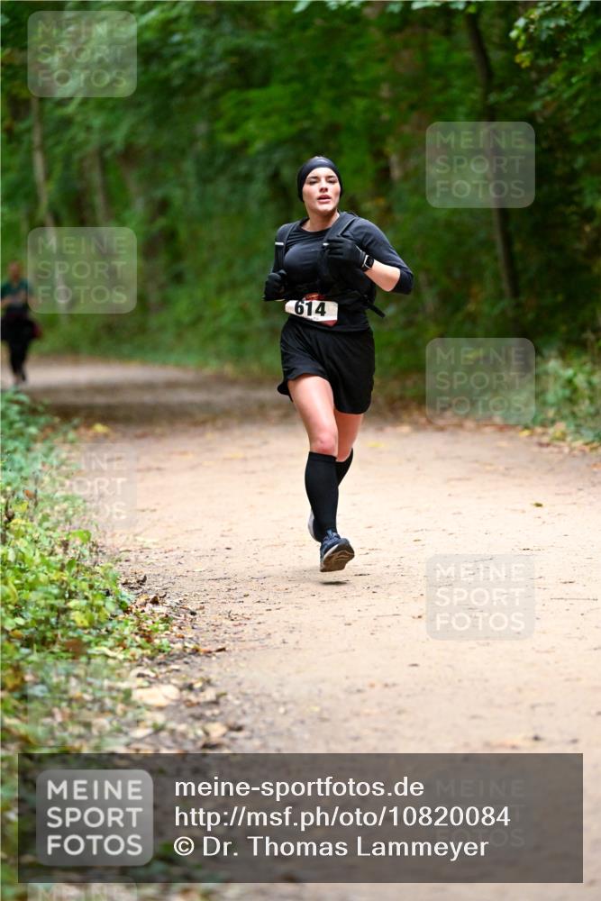 11.10.2026 - Bramfelder Halbmarathon 2026 Dr. Thomas Lammeyer http://msf.ph/oto/10820084 11.10.2026 10:19:09 Laufen 614 meine-sportfotos.de
