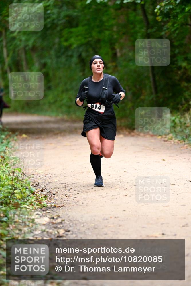 11.10.2026 - Bramfelder Halbmarathon 2026 Dr. Thomas Lammeyer http://msf.ph/oto/10820085 11.10.2026 10:19:09 Laufen 614 meine-sportfotos.de