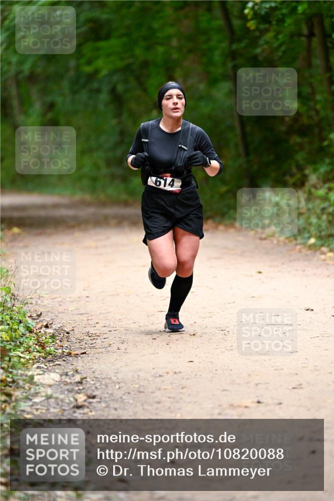 11.10.2026 - Bramfelder Halbmarathon 2026 Dr. Thomas Lammeyer http://msf.ph/oto/10820088 11.10.2026 10:19:10 Laufen 614 meine-sportfotos.de