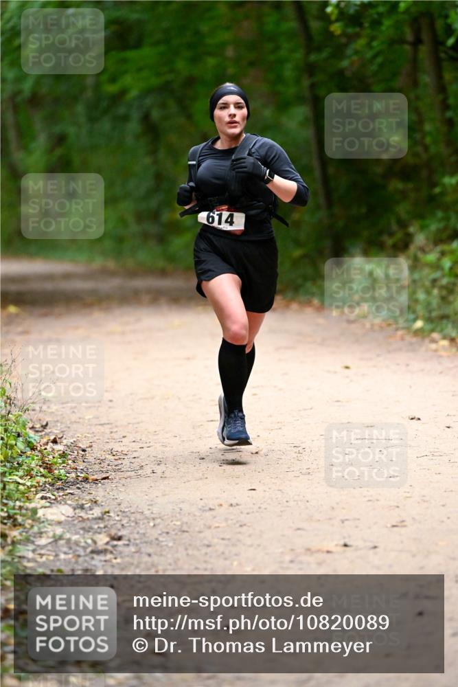 11.10.2026 - Bramfelder Halbmarathon 2026 Dr. Thomas Lammeyer http://msf.ph/oto/10820089 11.10.2026 10:19:10 Laufen 614 meine-sportfotos.de
