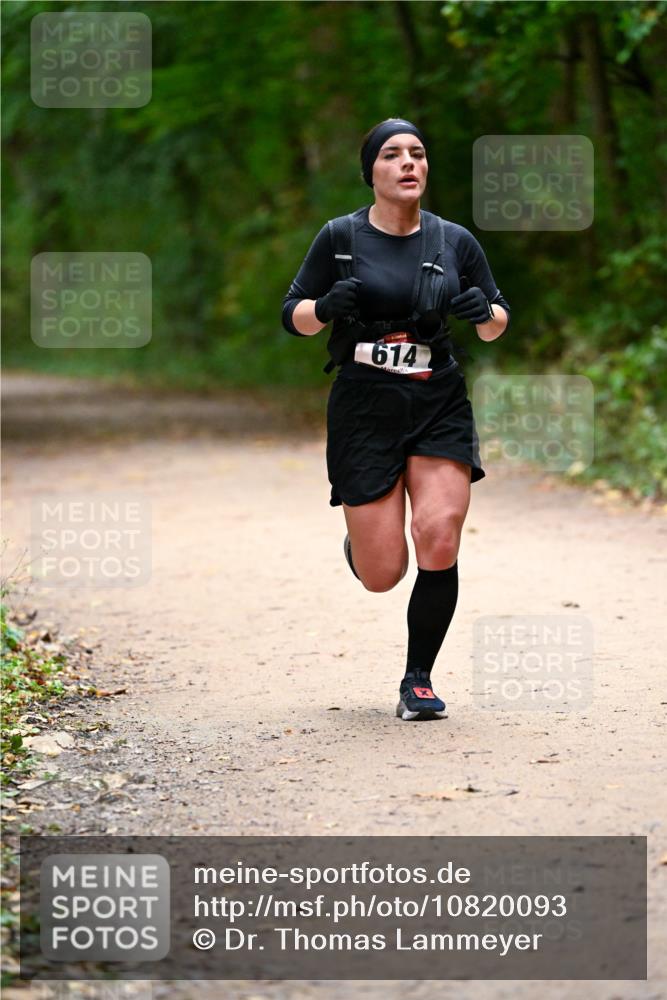 11.10.2026 - Bramfelder Halbmarathon 2026 Dr. Thomas Lammeyer http://msf.ph/oto/10820093 11.10.2026 10:19:10 Laufen 614 meine-sportfotos.de