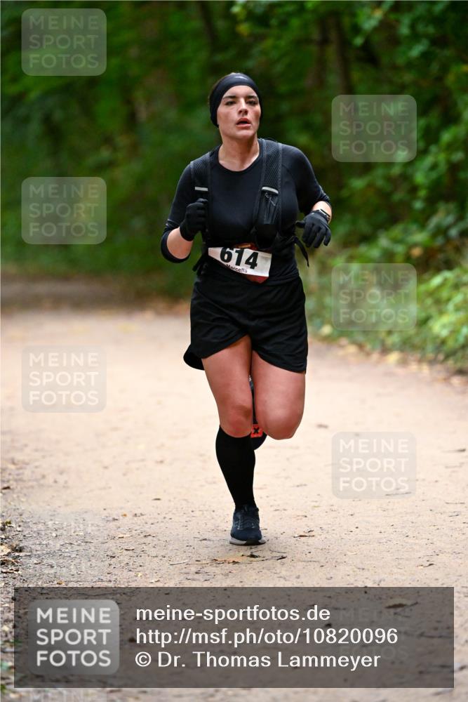 11.10.2026 - Bramfelder Halbmarathon 2026 Dr. Thomas Lammeyer http://msf.ph/oto/10820096 11.10.2026 10:19:11 Laufen 614 meine-sportfotos.de