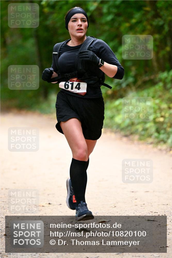 11.10.2026 - Bramfelder Halbmarathon 2026 Dr. Thomas Lammeyer http://msf.ph/oto/10820100 11.10.2026 10:19:11 Laufen 614 meine-sportfotos.de