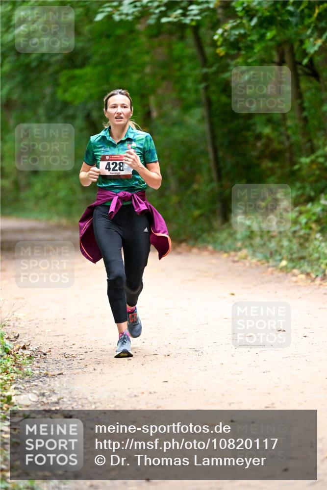 11.10.2026 - Bramfelder Halbmarathon 2026 Dr. Thomas Lammeyer http://msf.ph/oto/10820117 11.10.2026 10:19:21 Laufen 428 meine-sportfotos.de