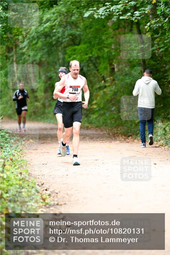 11.10.2026 - Bramfelder Halbmarathon 2026 Dr. Thomas Lammeyer http://msf.ph/oto/10820131 11.10.2026 10:19:32 Laufen 788 meine-sportfotos.de