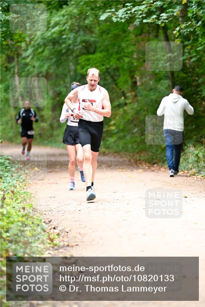 11.10.2026 - Bramfelder Halbmarathon 2026 Dr. Thomas Lammeyer http://msf.ph/oto/10820133 11.10.2026 10:19:32 Laufen  meine-sportfotos.de