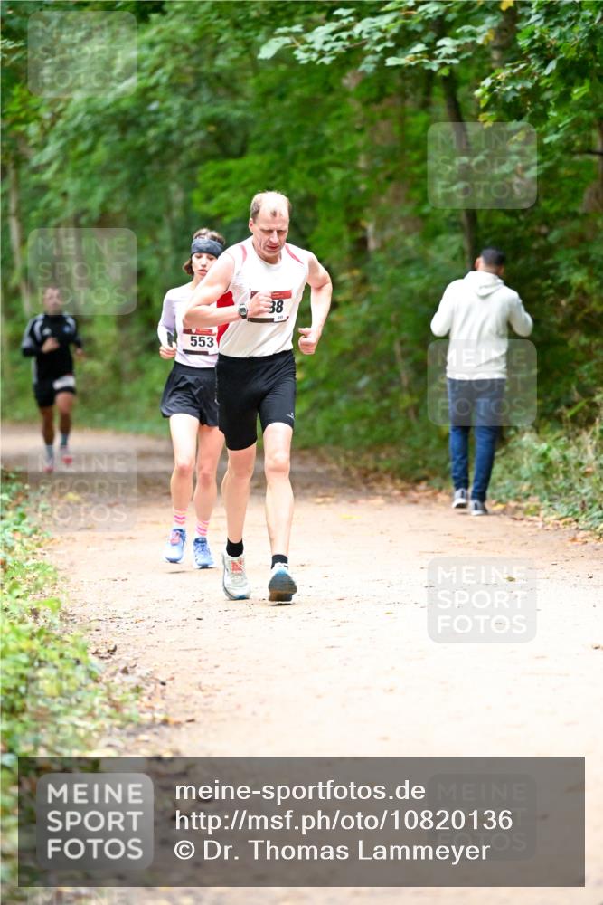 11.10.2026 - Bramfelder Halbmarathon 2026 Dr. Thomas Lammeyer http://msf.ph/oto/10820136 11.10.2026 10:19:32 Laufen 553, 38 meine-sportfotos.de