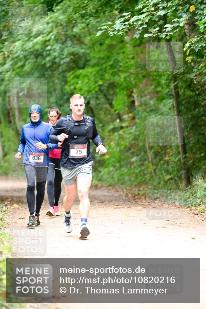 11.10.2026 - Bramfelder Halbmarathon 2026 Dr. Thomas Lammeyer http://msf.ph/oto/10820216 11.10.2026 10:20:15 Laufen 636, 75 meine-sportfotos.de