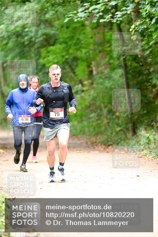 11.10.2026 - Bramfelder Halbmarathon 2026 Dr. Thomas Lammeyer http://msf.ph/oto/10820220 11.10.2026 10:20:16 Laufen 636, 75 meine-sportfotos.de