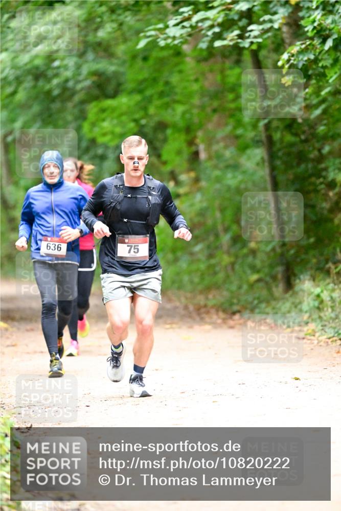 11.10.2026 - Bramfelder Halbmarathon 2026 Dr. Thomas Lammeyer http://msf.ph/oto/10820222 11.10.2026 10:20:16 Laufen 636, 75 meine-sportfotos.de