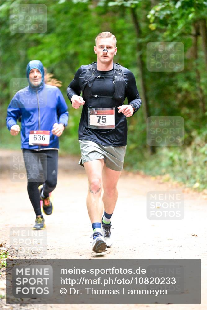 11.10.2026 - Bramfelder Halbmarathon 2026 Dr. Thomas Lammeyer http://msf.ph/oto/10820233 11.10.2026 10:20:17 Laufen 636, 75 meine-sportfotos.de