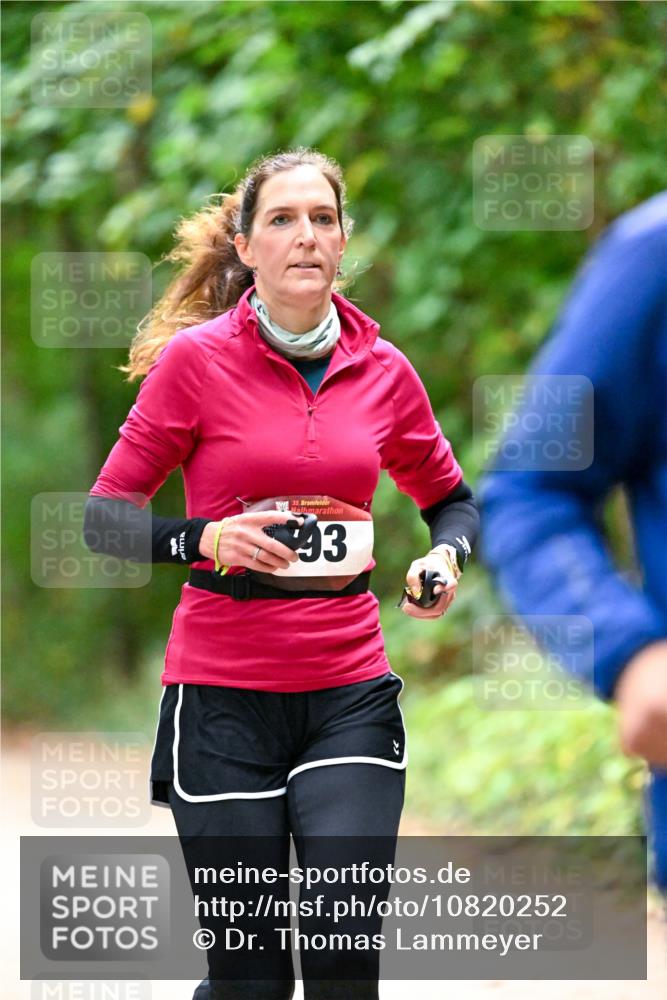 11.10.2026 - Bramfelder Halbmarathon 2026 Dr. Thomas Lammeyer http://msf.ph/oto/10820252 11.10.2026 10:20:21 Laufen 35, 43 meine-sportfotos.de