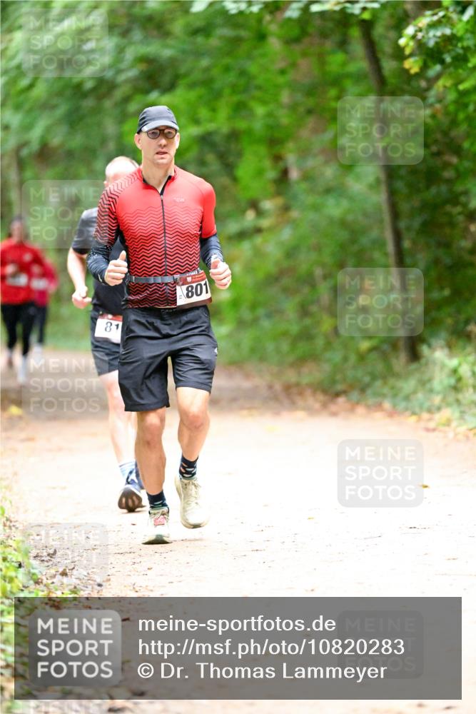 11.10.2026 - Bramfelder Halbmarathon 2026 Dr. Thomas Lammeyer http://msf.ph/oto/10820283 11.10.2026 10:20:40 Laufen 81, 801 meine-sportfotos.de