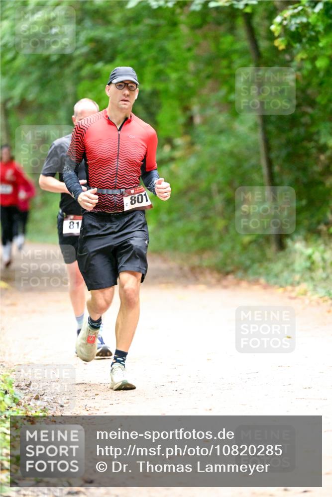 11.10.2026 - Bramfelder Halbmarathon 2026 Dr. Thomas Lammeyer http://msf.ph/oto/10820285 11.10.2026 10:20:41 Laufen 81, 801 meine-sportfotos.de