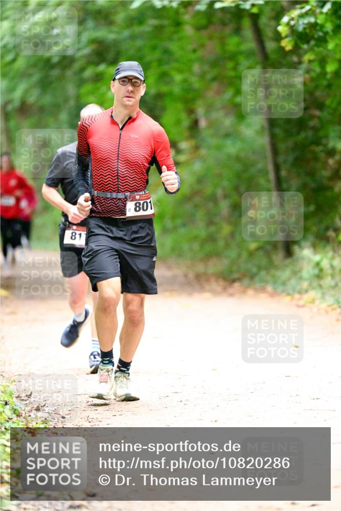 11.10.2026 - Bramfelder Halbmarathon 2026 Dr. Thomas Lammeyer http://msf.ph/oto/10820286 11.10.2026 10:20:41 Laufen 811, 801 meine-sportfotos.de