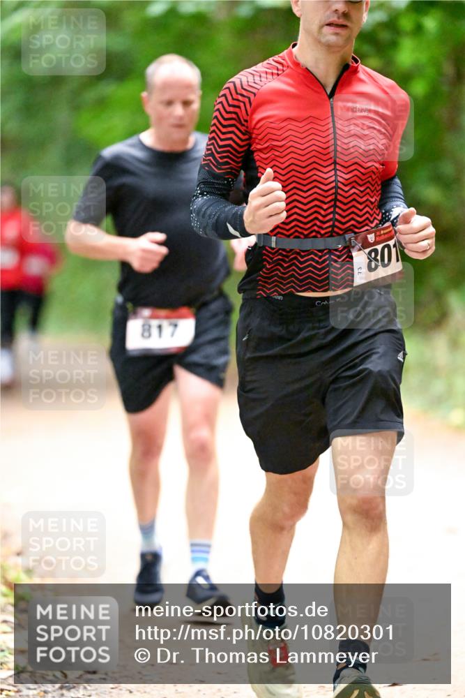 11.10.2026 - Bramfelder Halbmarathon 2026 Dr. Thomas Lammeyer http://msf.ph/oto/10820301 11.10.2026 10:20:43 Laufen 817, 73, 801 meine-sportfotos.de
