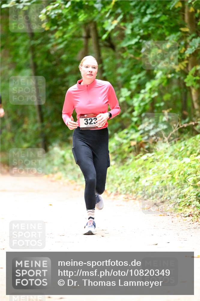 11.10.2026 - Bramfelder Halbmarathon 2026 Dr. Thomas Lammeyer http://msf.ph/oto/10820349 11.10.2026 10:20:57 Laufen 322 meine-sportfotos.de