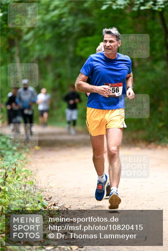 11.10.2026 - Bramfelder Halbmarathon 2026 Dr. Thomas Lammeyer http://msf.ph/oto/10820415 11.10.2026 10:21:25 Laufen 56, 288 meine-sportfotos.de