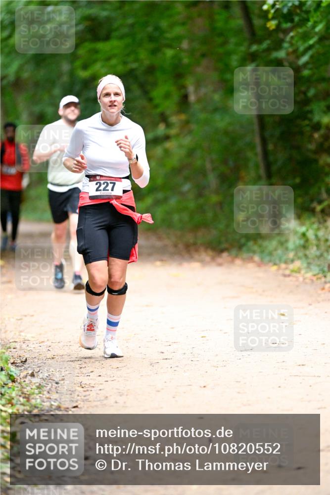 11.10.2026 - Bramfelder Halbmarathon 2026 Dr. Thomas Lammeyer http://msf.ph/oto/10820552 11.10.2026 10:22:01 Laufen 227 meine-sportfotos.de
