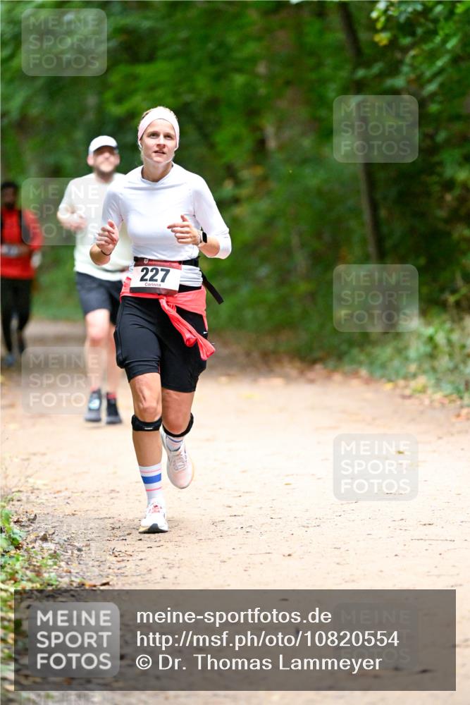 11.10.2026 - Bramfelder Halbmarathon 2026 Dr. Thomas Lammeyer http://msf.ph/oto/10820554 11.10.2026 10:22:02 Laufen 227 meine-sportfotos.de