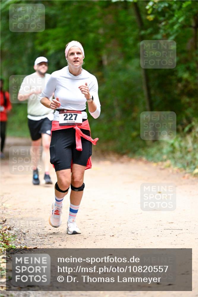 11.10.2026 - Bramfelder Halbmarathon 2026 Dr. Thomas Lammeyer http://msf.ph/oto/10820557 11.10.2026 10:22:02 Laufen 227 meine-sportfotos.de