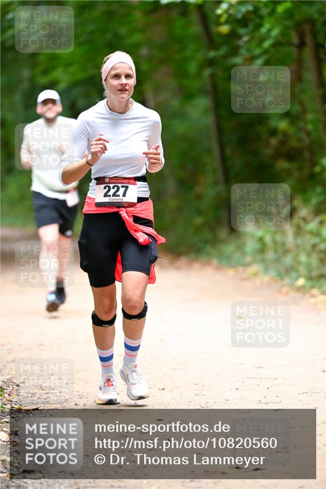 11.10.2026 - Bramfelder Halbmarathon 2026 Dr. Thomas Lammeyer http://msf.ph/oto/10820560 11.10.2026 10:22:02 Laufen 227 meine-sportfotos.de