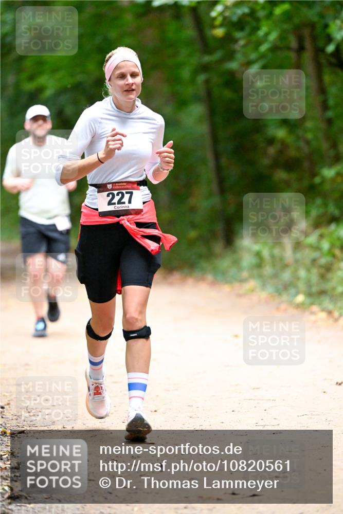 11.10.2026 - Bramfelder Halbmarathon 2026 Dr. Thomas Lammeyer http://msf.ph/oto/10820561 11.10.2026 10:22:03 Laufen 35, 227 meine-sportfotos.de