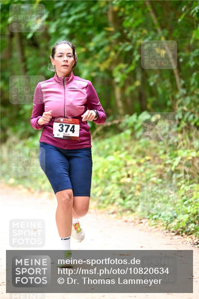 11.10.2026 - Bramfelder Halbmarathon 2026 Dr. Thomas Lammeyer http://msf.ph/oto/10820634 11.10.2026 10:22:25 Laufen 374, 82 meine-sportfotos.de