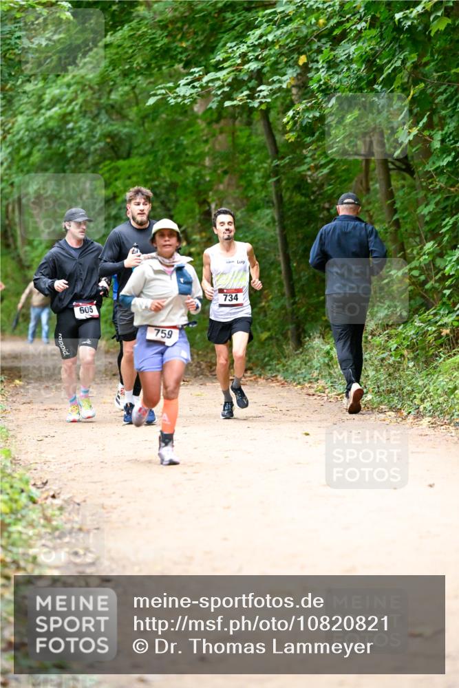 11.10.2026 - Bramfelder Halbmarathon 2026 Dr. Thomas Lammeyer http://msf.ph/oto/10820821 11.10.2026 10:23:19 Laufen 605, 759, 734 meine-sportfotos.de
