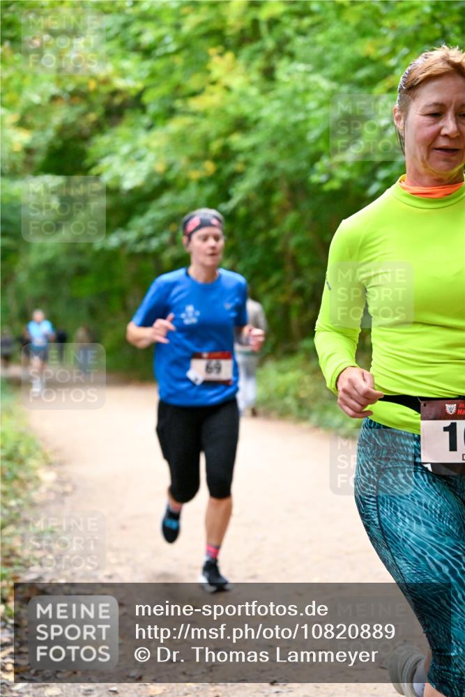 11.10.2026 - Bramfelder Halbmarathon 2026 Dr. Thomas Lammeyer http://msf.ph/oto/10820889 11.10.2026 10:23:33 Laufen 69, 1, 35 meine-sportfotos.de