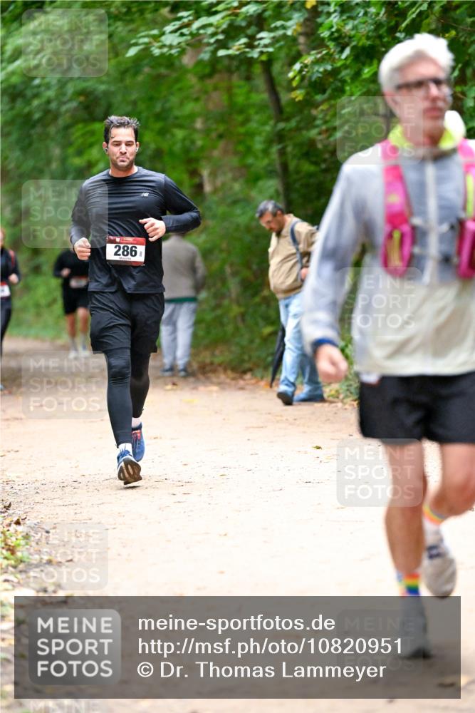 11.10.2026 - Bramfelder Halbmarathon 2026 Dr. Thomas Lammeyer http://msf.ph/oto/10820951 11.10.2026 10:23:48 Laufen 286 meine-sportfotos.de