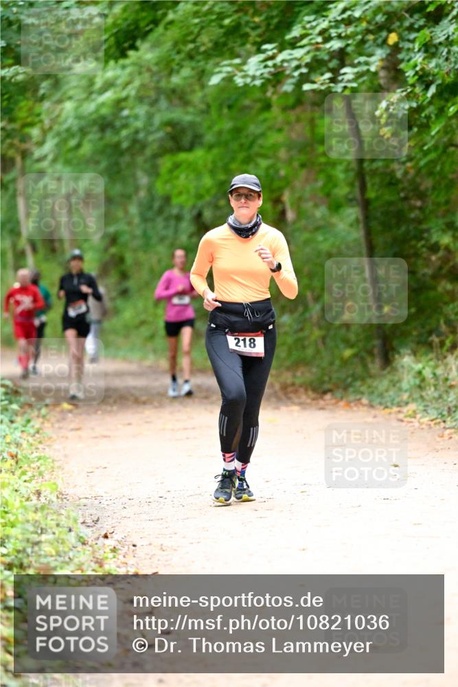 11.10.2026 - Bramfelder Halbmarathon 2026 Dr. Thomas Lammeyer http://msf.ph/oto/10821036 11.10.2026 10:24:06 Laufen 218 meine-sportfotos.de