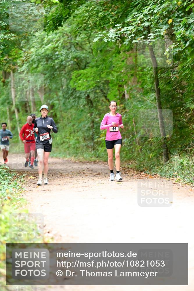 11.10.2026 - Bramfelder Halbmarathon 2026 Dr. Thomas Lammeyer http://msf.ph/oto/10821053 11.10.2026 10:24:08 Laufen 356, 02, 44 meine-sportfotos.de