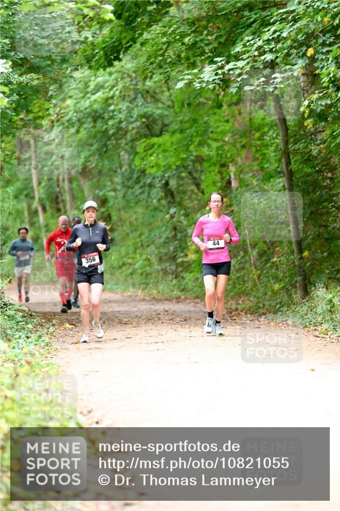 11.10.2026 - Bramfelder Halbmarathon 2026 Dr. Thomas Lammeyer http://msf.ph/oto/10821055 11.10.2026 10:24:08 Laufen 356, 44 meine-sportfotos.de
