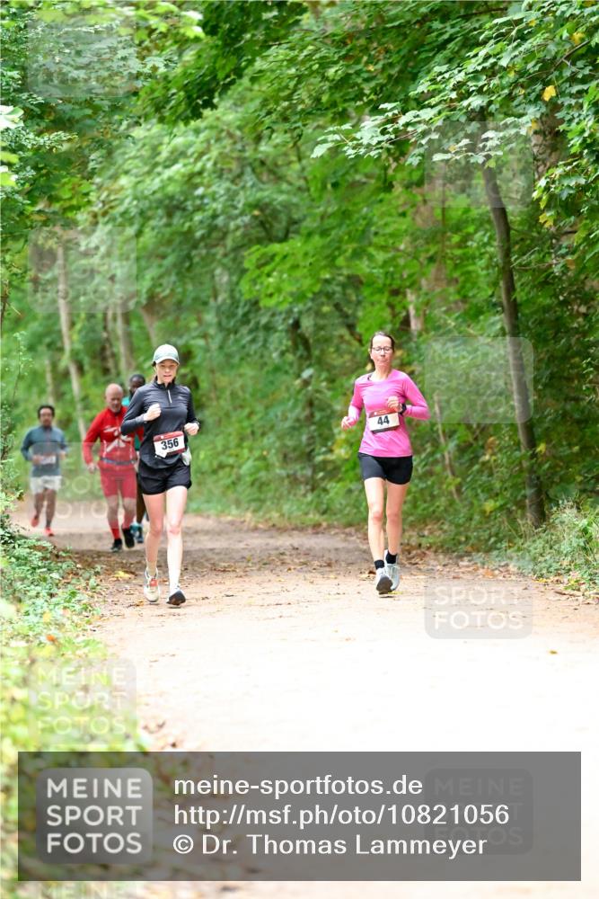 11.10.2026 - Bramfelder Halbmarathon 2026 Dr. Thomas Lammeyer http://msf.ph/oto/10821056 11.10.2026 10:24:09 Laufen 356, 44 meine-sportfotos.de