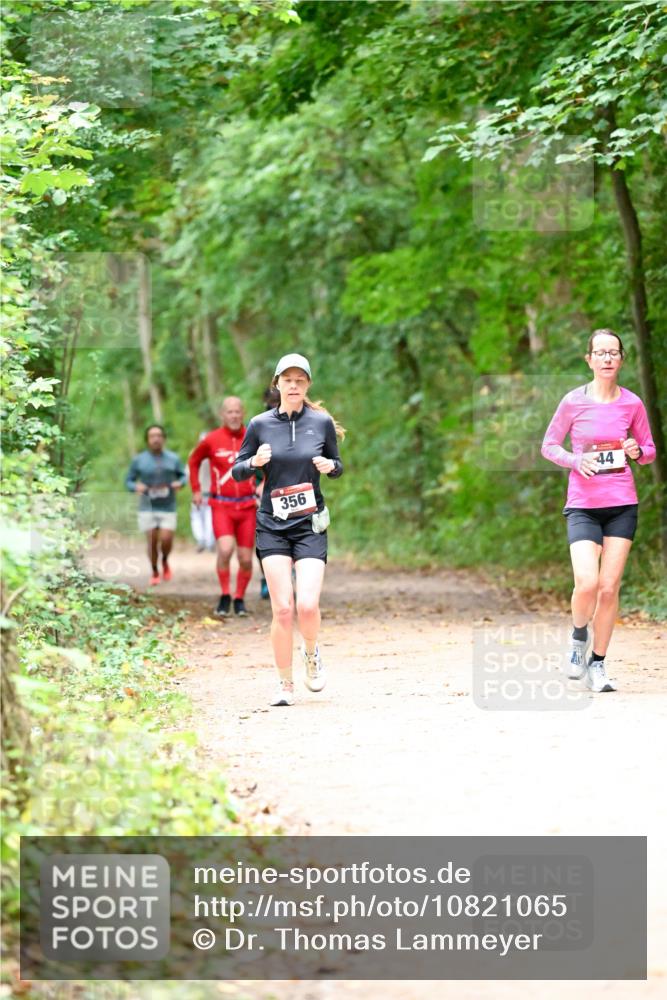 11.10.2026 - Bramfelder Halbmarathon 2026 Dr. Thomas Lammeyer http://msf.ph/oto/10821065 11.10.2026 10:24:10 Laufen 356, 44 meine-sportfotos.de