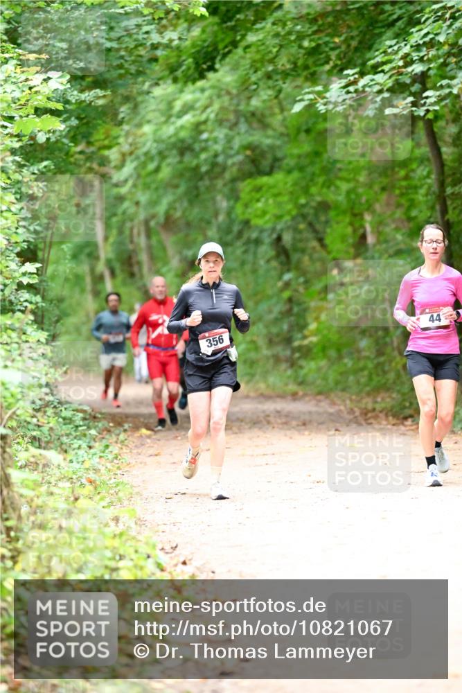 11.10.2026 - Bramfelder Halbmarathon 2026 Dr. Thomas Lammeyer http://msf.ph/oto/10821067 11.10.2026 10:24:11 Laufen 356, 44 meine-sportfotos.de