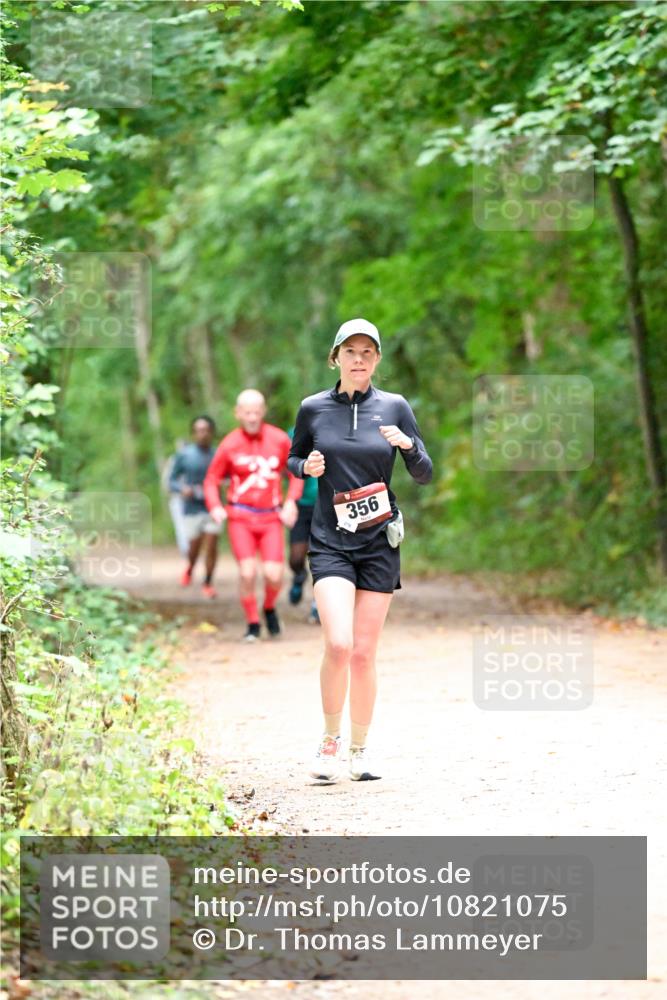 11.10.2026 - Bramfelder Halbmarathon 2026 Dr. Thomas Lammeyer http://msf.ph/oto/10821075 11.10.2026 10:24:12 Laufen 356 meine-sportfotos.de