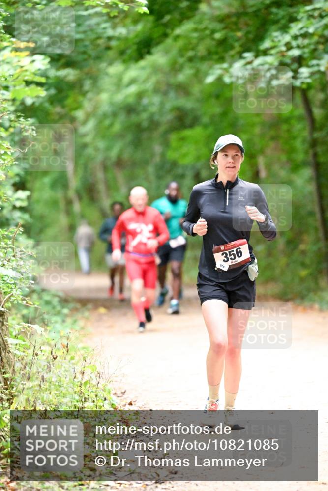 11.10.2026 - Bramfelder Halbmarathon 2026 Dr. Thomas Lammeyer http://msf.ph/oto/10821085 11.10.2026 10:24:13 Laufen 278, 356 meine-sportfotos.de
