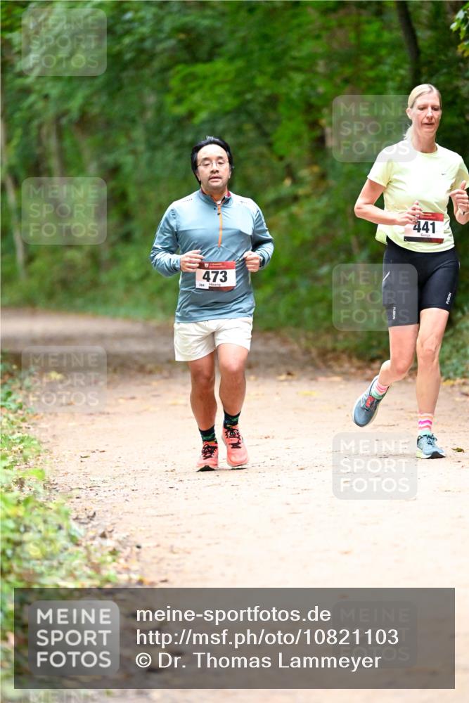 11.10.2026 - Bramfelder Halbmarathon 2026 Dr. Thomas Lammeyer http://msf.ph/oto/10821103 11.10.2026 10:24:20 Laufen 473, 441 meine-sportfotos.de