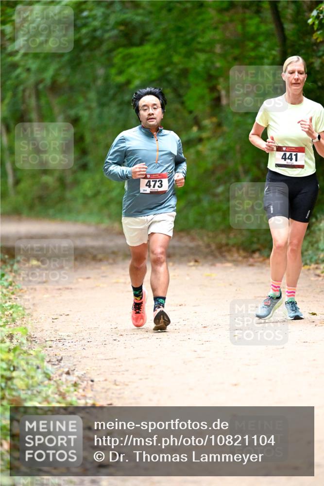 11.10.2026 - Bramfelder Halbmarathon 2026 Dr. Thomas Lammeyer http://msf.ph/oto/10821104 11.10.2026 10:24:20 Laufen 284, 473, 441 meine-sportfotos.de