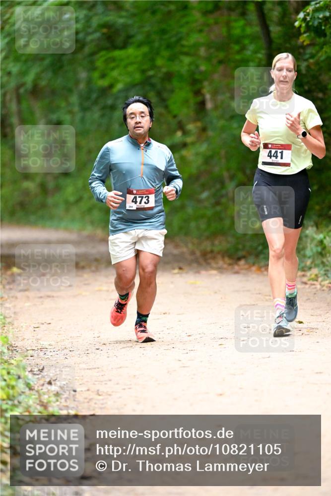 11.10.2026 - Bramfelder Halbmarathon 2026 Dr. Thomas Lammeyer http://msf.ph/oto/10821105 11.10.2026 10:24:21 Laufen 473, 284, 441 meine-sportfotos.de