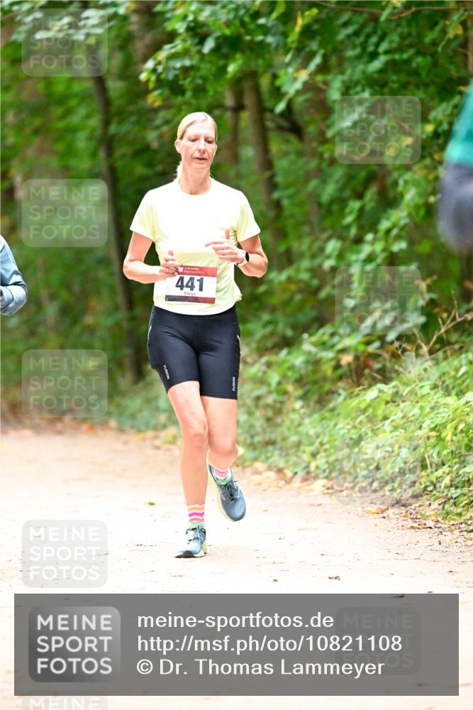 11.10.2026 - Bramfelder Halbmarathon 2026 Dr. Thomas Lammeyer http://msf.ph/oto/10821108 11.10.2026 10:24:21 Laufen 441 meine-sportfotos.de