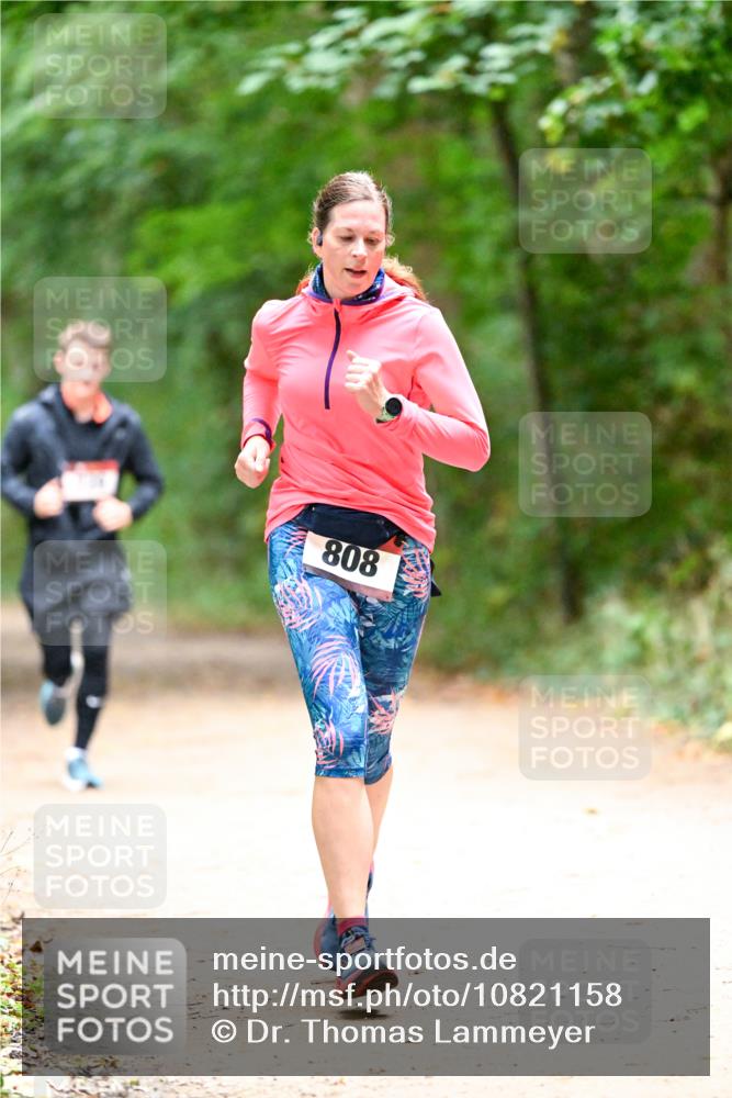 11.10.2026 - Bramfelder Halbmarathon 2026 Dr. Thomas Lammeyer http://msf.ph/oto/10821158 11.10.2026 10:24:45 Laufen 808 meine-sportfotos.de