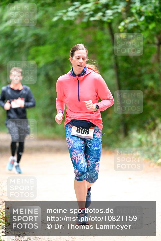 11.10.2026 - Bramfelder Halbmarathon 2026 Dr. Thomas Lammeyer http://msf.ph/oto/10821159 11.10.2026 10:24:45 Laufen 808 meine-sportfotos.de
