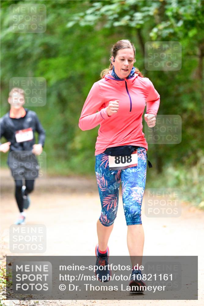 11.10.2026 - Bramfelder Halbmarathon 2026 Dr. Thomas Lammeyer http://msf.ph/oto/10821161 11.10.2026 10:24:45 Laufen 808 meine-sportfotos.de