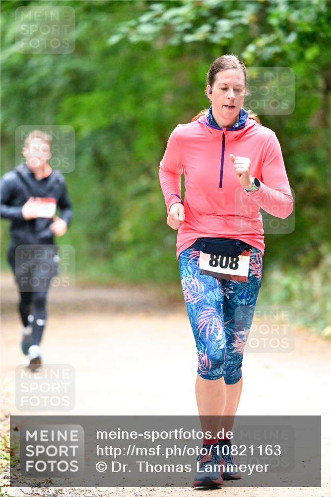 11.10.2026 - Bramfelder Halbmarathon 2026 Dr. Thomas Lammeyer http://msf.ph/oto/10821163 11.10.2026 10:24:46 Laufen 808 meine-sportfotos.de