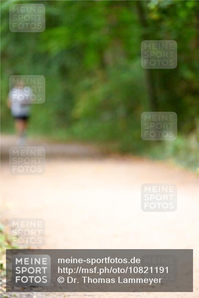 11.10.2026 - Bramfelder Halbmarathon 2026 Dr. Thomas Lammeyer http://msf.ph/oto/10821191 11.10.2026 10:24:50 Laufen  meine-sportfotos.de