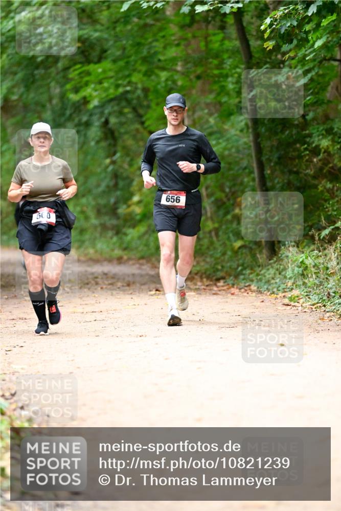 11.10.2026 - Bramfelder Halbmarathon 2026 Dr. Thomas Lammeyer http://msf.ph/oto/10821239 11.10.2026 10:25:06 Laufen 500, 656 meine-sportfotos.de