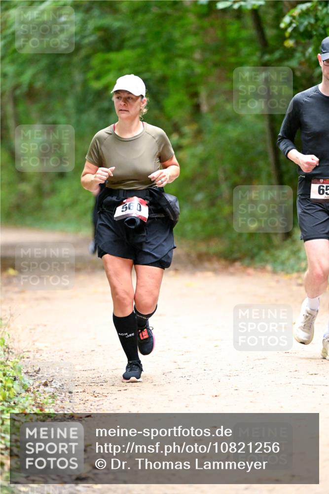 11.10.2026 - Bramfelder Halbmarathon 2026 Dr. Thomas Lammeyer http://msf.ph/oto/10821256 11.10.2026 10:25:09 Laufen 65, 560 meine-sportfotos.de